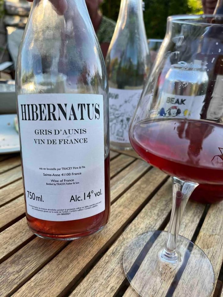 Hibernatus - Domaine Le Clocher - Les Vins de Sainte Anne - Brendan & Sean Tracey 
