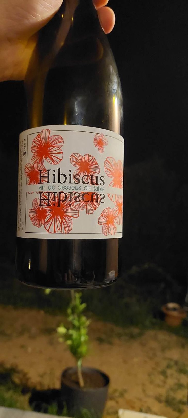 Hibiscus - La Ferme des Magesses - Thomas Bouët 