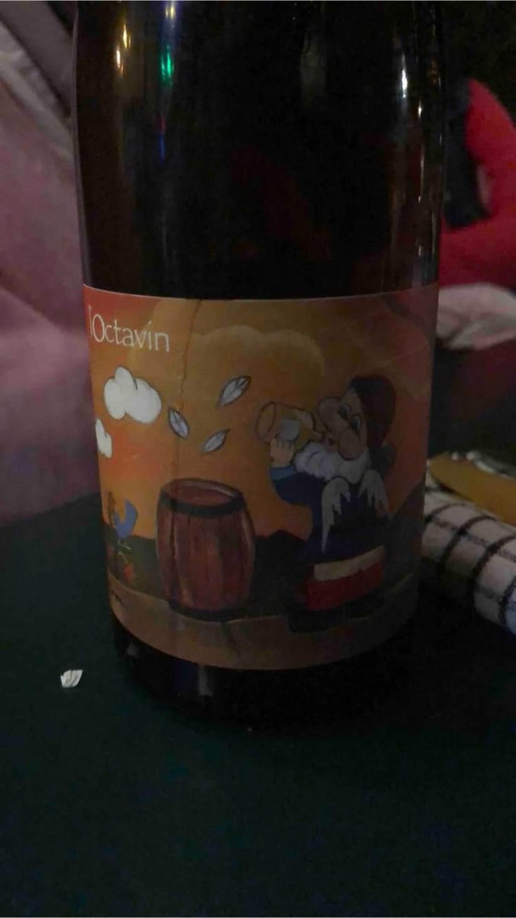 Hip Hip J... (Poulsard) - Domaine de l'Octavin - Alice Bouvot 