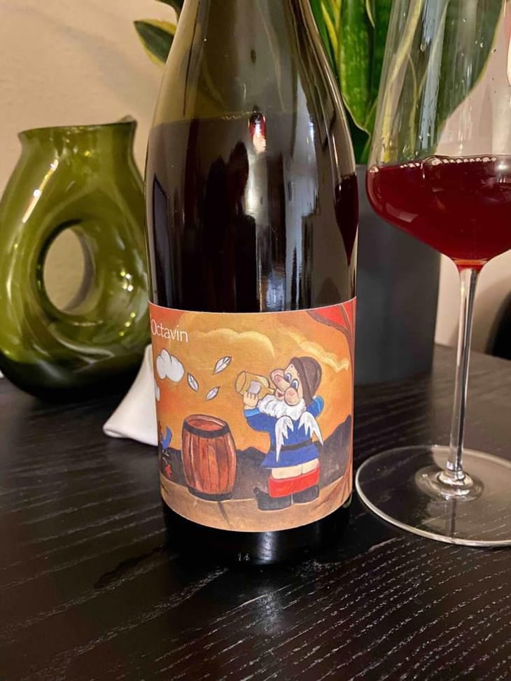 Hip Hip J... (Poulsard) - Domaine de l'Octavin - Alice Bouvot 