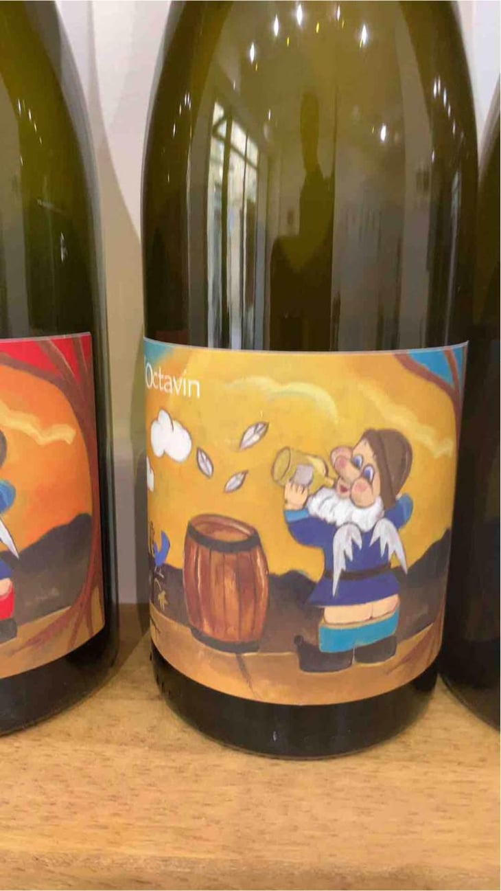 Hip Hip J... (Poulsard) - Domaine de l'Octavin - Alice Bouvot 
