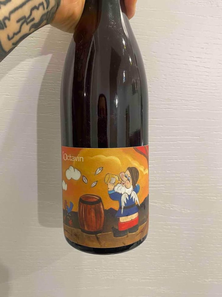 Hip Hip J... (Poulsard) - Domaine de l'Octavin - Alice Bouvot 