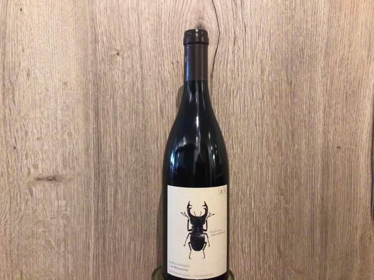 Hirschkäfer - Sauvignon Blanc/Chardonnay - Weingut Andreas & Elisabeth Tscheppe - Andreas & Elisabeth Tscheppe 