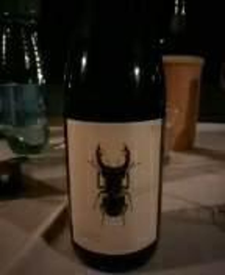 Hirschkäfer - Sauvignon Blanc/Chardonnay - Weingut Andreas & Elisabeth Tscheppe - Andreas & Elisabeth Tscheppe 