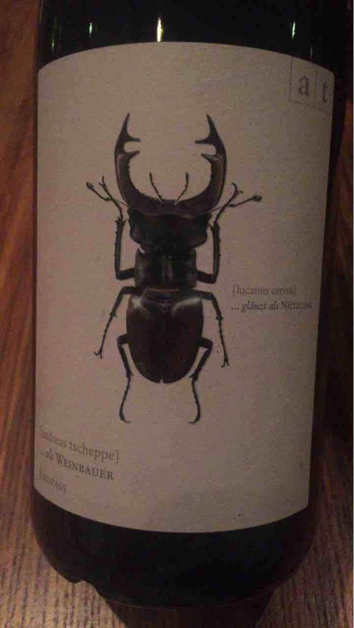 Hirschkäfer - Sauvignon Blanc/Chardonnay - Weingut Andreas & Elisabeth Tscheppe - Andreas & Elisabeth Tscheppe 