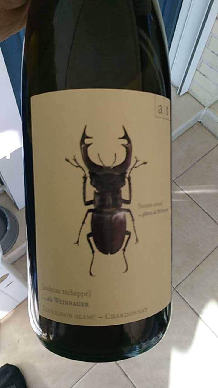 Hirschkäfer - Sauvignon Blanc/Chardonnay - Weingut Andreas & Elisabeth Tscheppe - Andreas & Elisabeth Tscheppe 