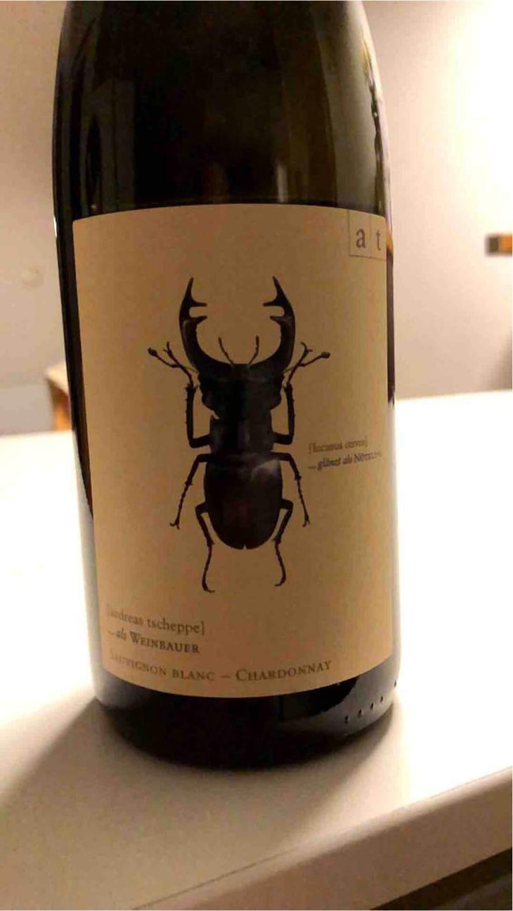 Hirschkäfer - Sauvignon Blanc/Chardonnay - Weingut Andreas & Elisabeth Tscheppe - Andreas & Elisabeth Tscheppe 