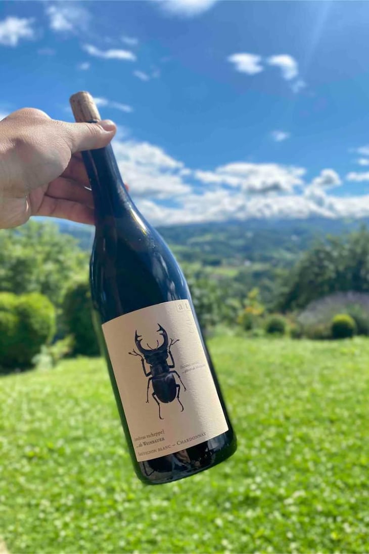 Hirschkäfer - Sauvignon Blanc/Chardonnay - Weingut Andreas & Elisabeth Tscheppe - Andreas & Elisabeth Tscheppe 