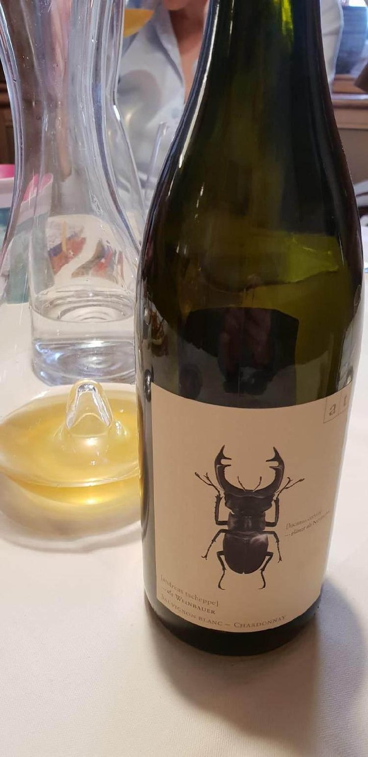 Hirschkäfer - Sauvignon Blanc/Chardonnay - Weingut Andreas & Elisabeth Tscheppe - Andreas & Elisabeth Tscheppe 