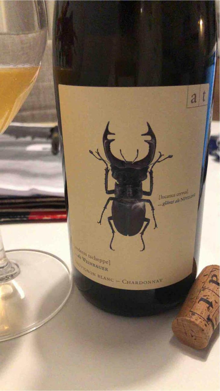 Hirschkäfer - Sauvignon Blanc/Chardonnay - Weingut Andreas & Elisabeth Tscheppe - Andreas & Elisabeth Tscheppe 