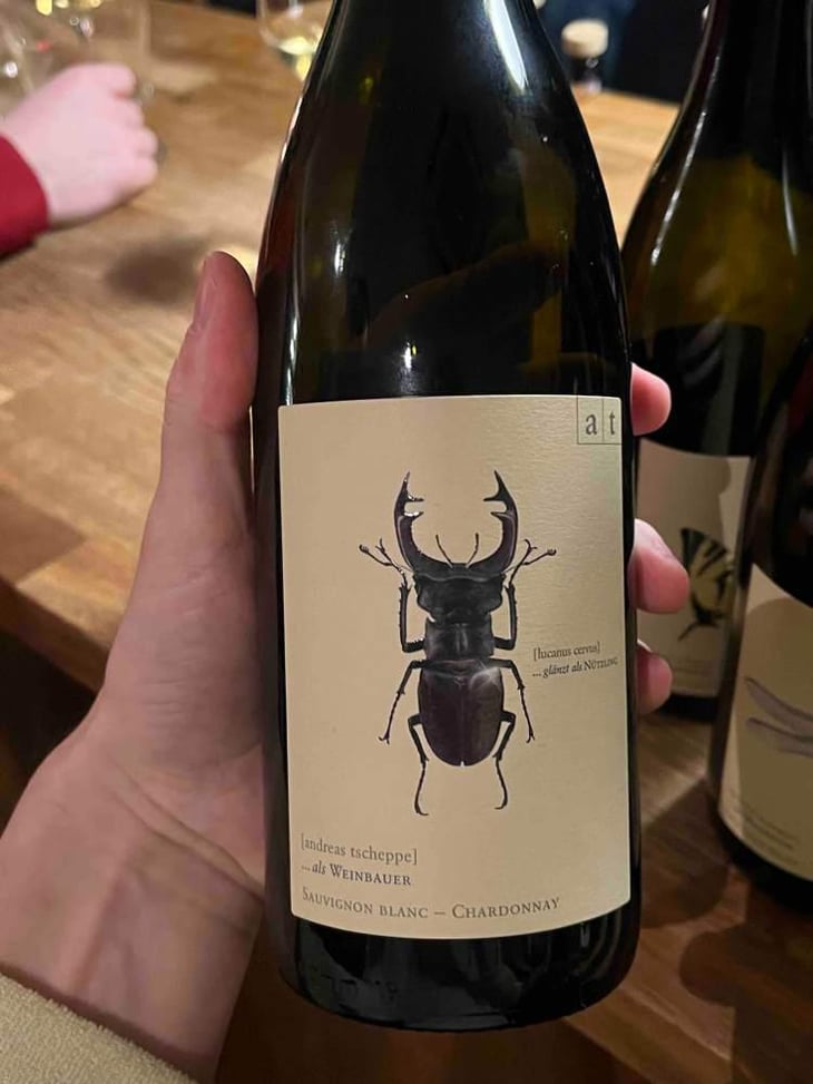 Hirschkäfer - Sauvignon Blanc/Chardonnay - Weingut Andreas & Elisabeth Tscheppe - Andreas & Elisabeth Tscheppe 