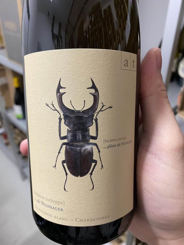 Hirschkäfer - Sauvignon Blanc/Chardonnay - Weingut Andreas & Elisabeth Tscheppe - Andreas & Elisabeth Tscheppe 