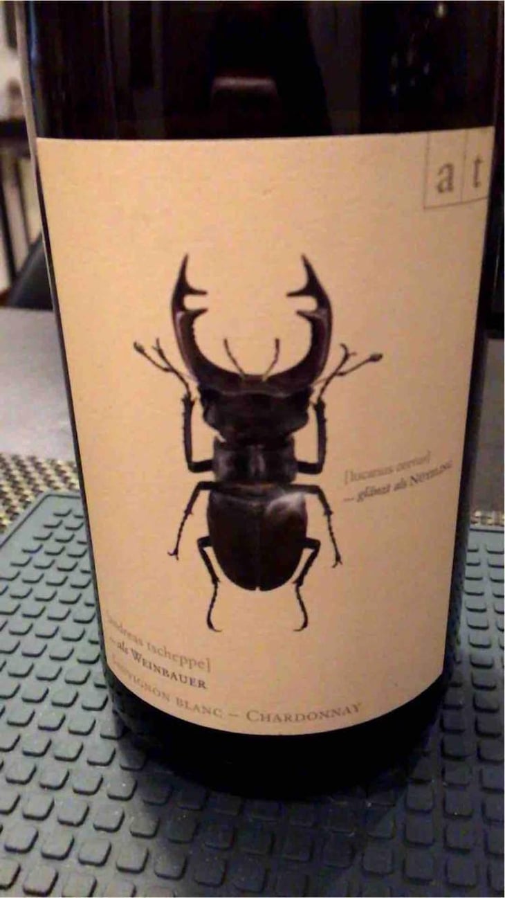 Hirschkäfer - Sauvignon Blanc/Chardonnay - Weingut Andreas & Elisabeth Tscheppe - Andreas & Elisabeth Tscheppe 