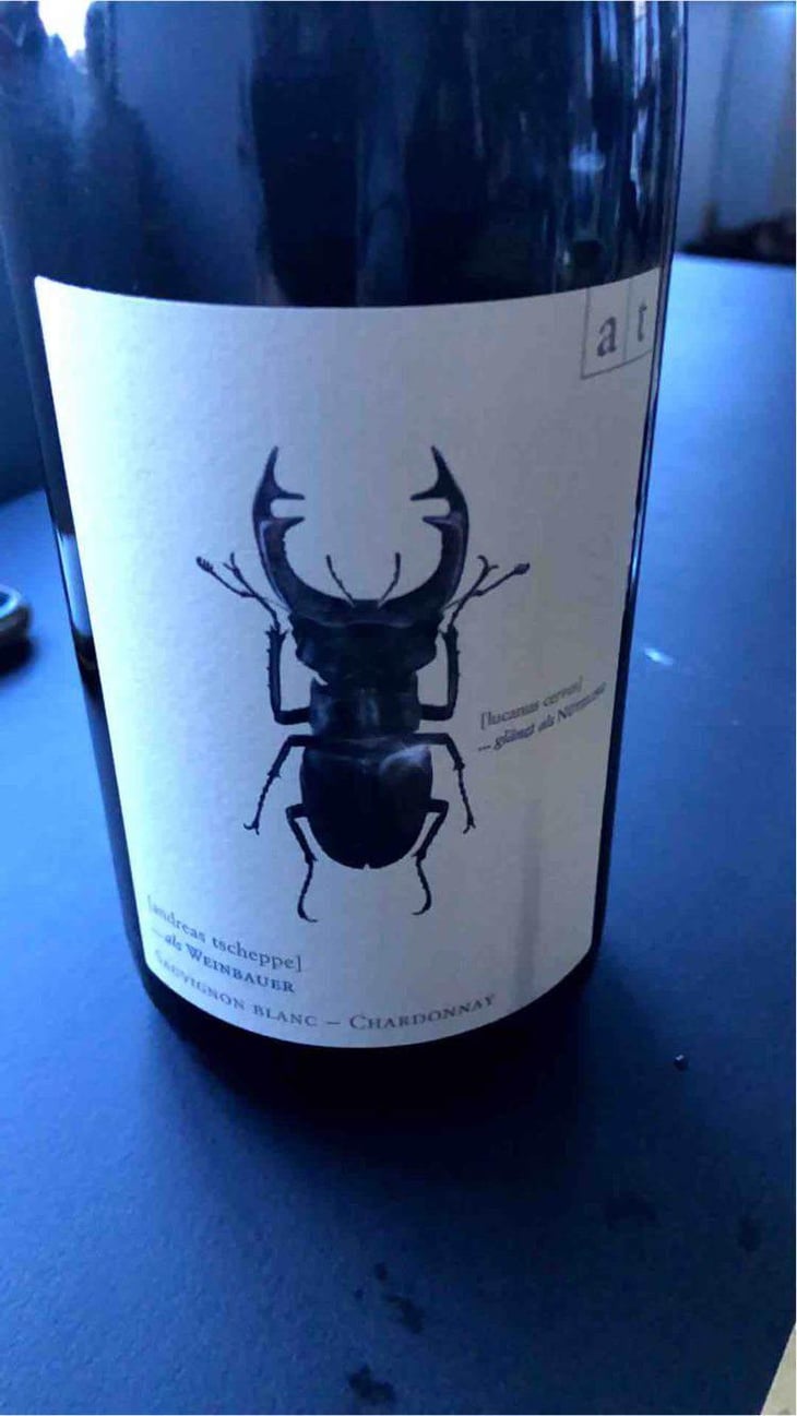Hirschkäfer - Sauvignon Blanc/Chardonnay - Weingut Andreas & Elisabeth Tscheppe - Andreas & Elisabeth Tscheppe 