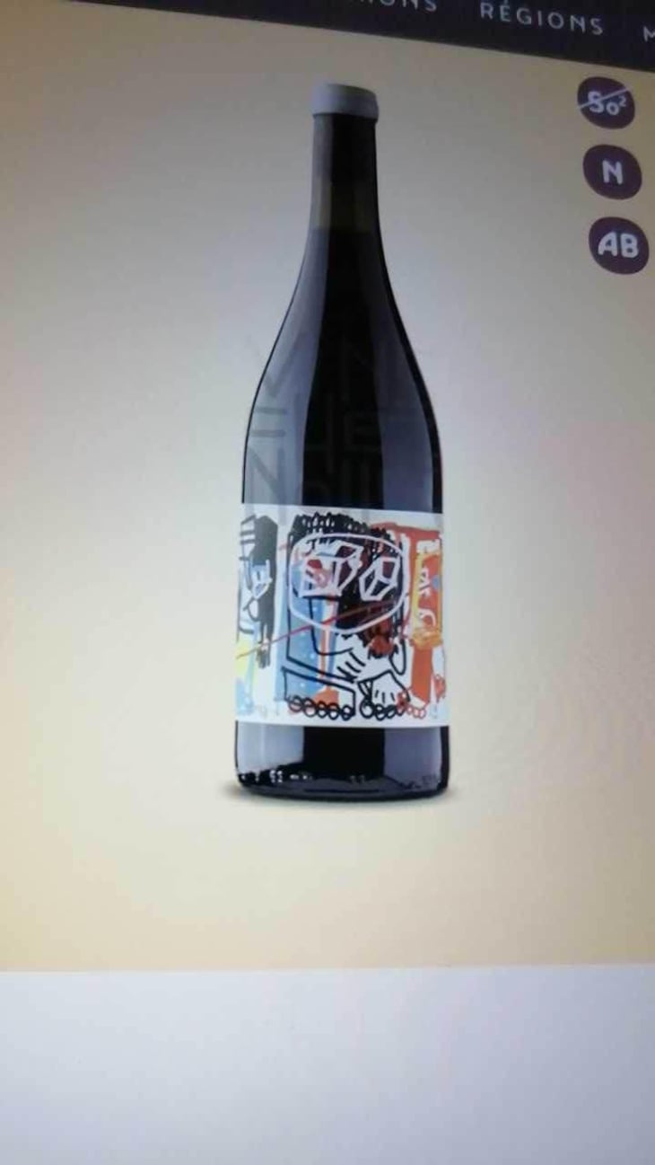 Historia de VI X Tuets - Vin des Potes - Basile Passe 
