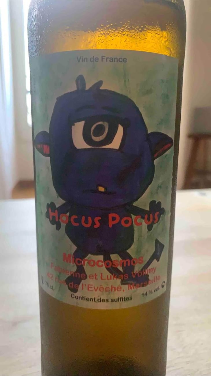 Hocus Pocus - Microcosmos - Fabienne & Lukas Vollmy 