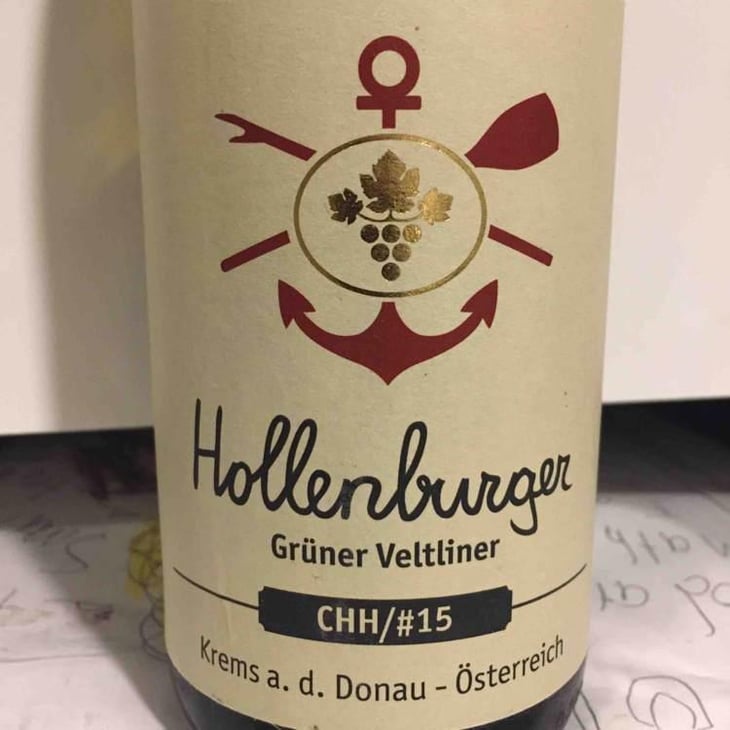 Hollenburger Grüner Veltliner - Christoph Hoch - Christoph & Julie-Ann Hoch 