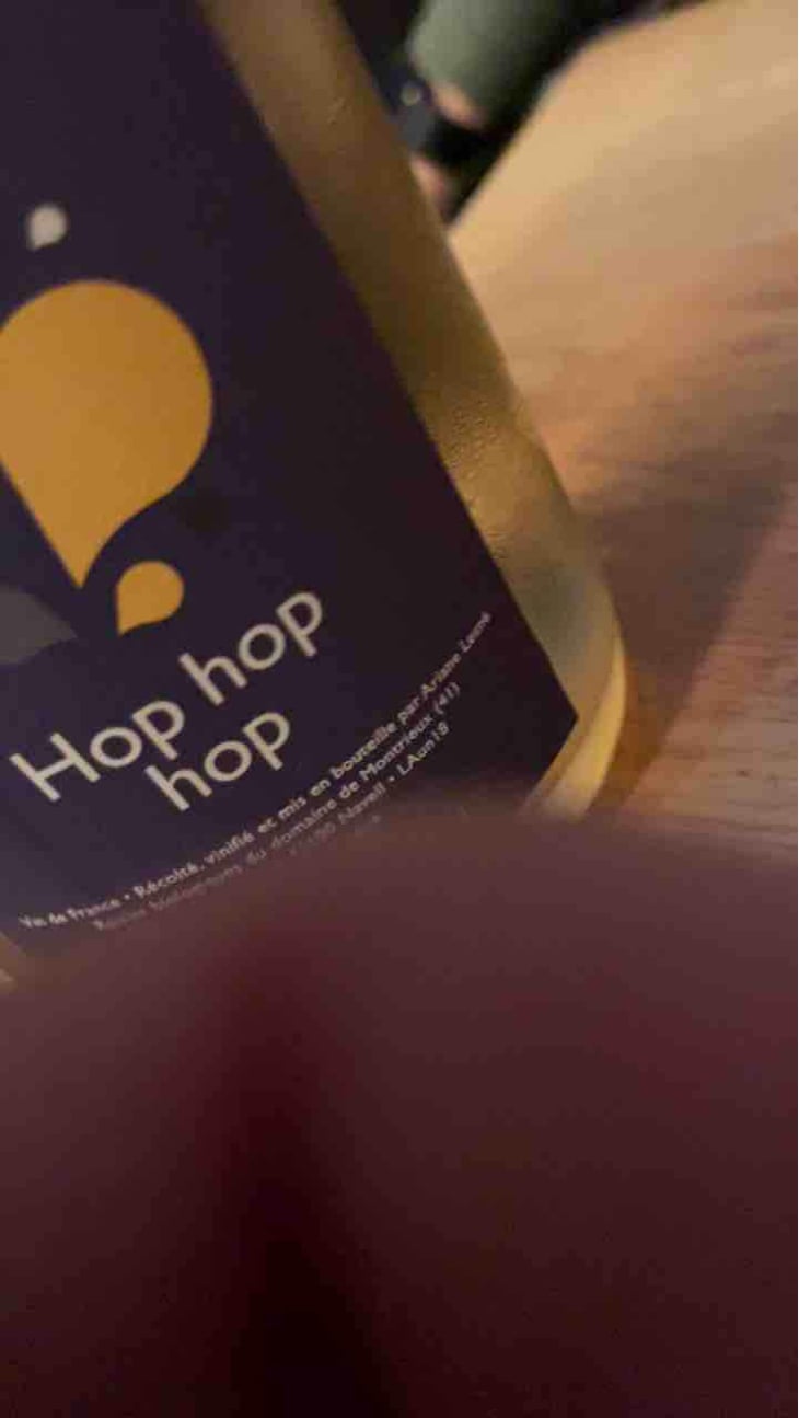 Hop Hop Hop - Ariane & Co / Goût à goutte - Ariane Lesné 