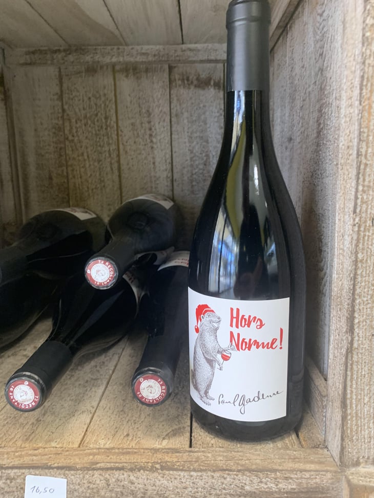 Hors Norme! - Domaine Paul Gadenne - Paul Gadenne 