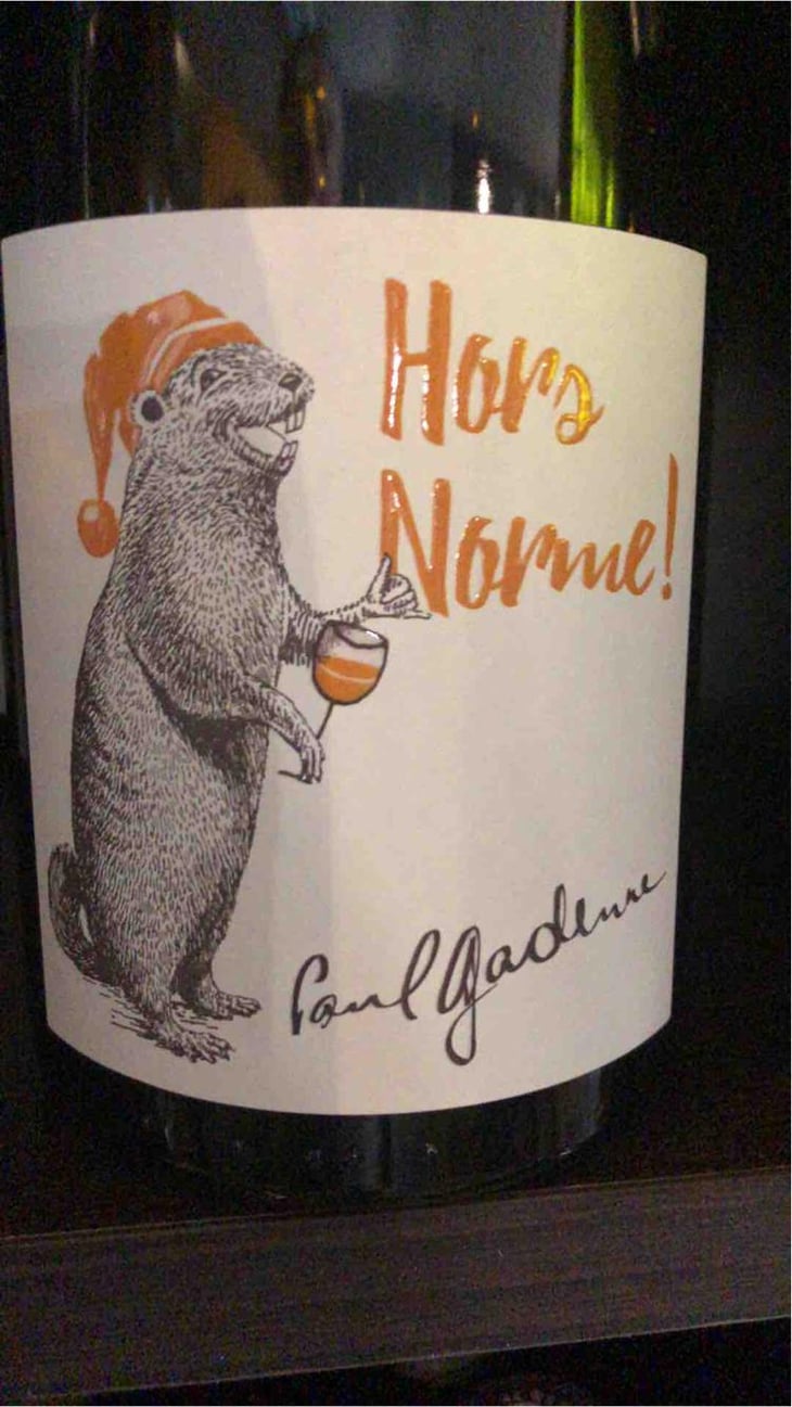 Hors Norme! - Domaine Paul Gadenne - Paul Gadenne 
