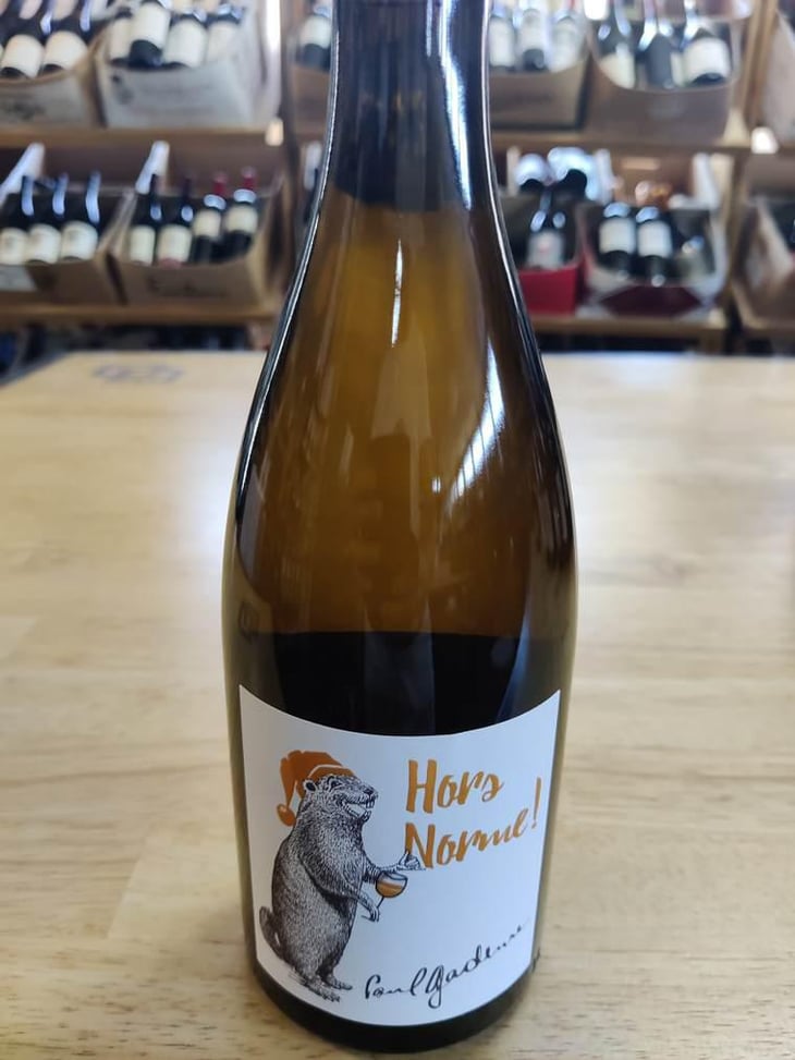 Hors Norme! - Domaine Paul Gadenne - Paul Gadenne 