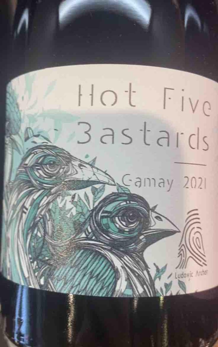 Hot Five Bastards 2021 - Domaine Ludovic Archer - Ludovic Archer 