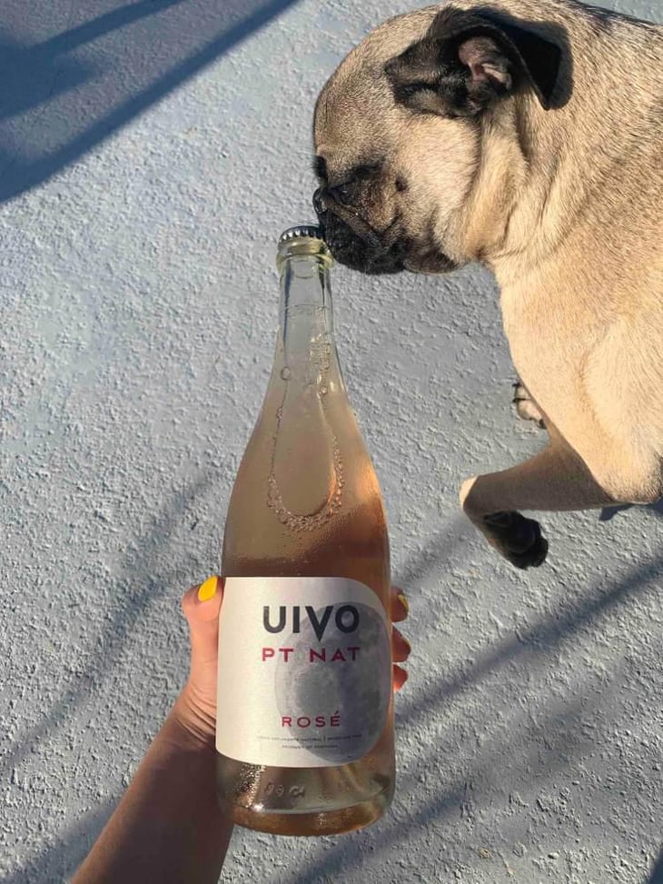 Uivo PT NAT Rosé - Folias de Baco - Tiago Sampaio 
