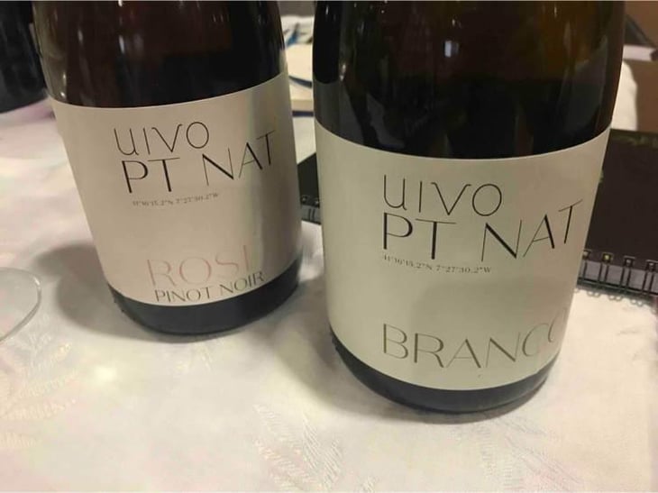 Uivo PT NAT Rosé - Folias de Baco - Tiago Sampaio 