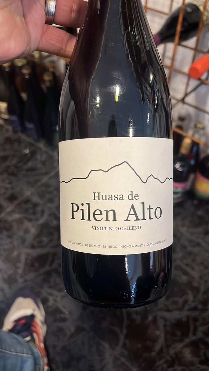 Huasa de Pilen Alto - Agricola Luyt - Louis-Antoine Luyt 