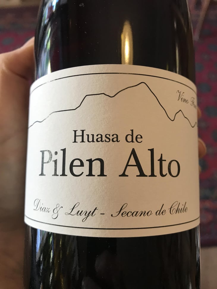 Huasa de Pilen Alto - Agricola Luyt - Louis-Antoine Luyt 