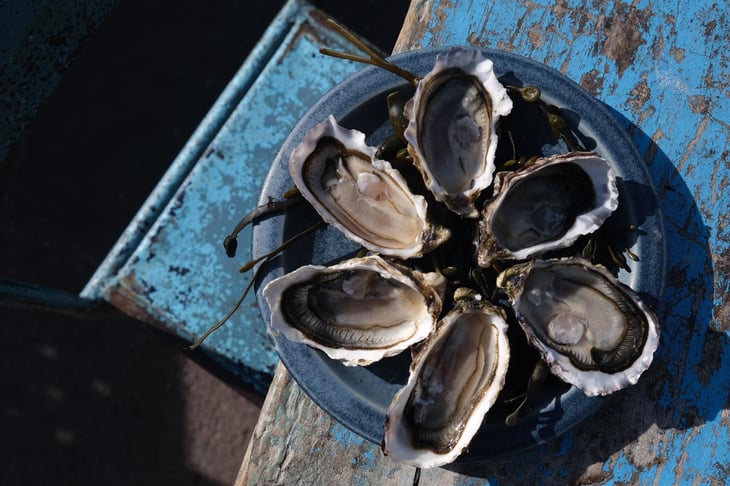Huîtres De Fréhel N°3 - Oyster Club Dinard - 779108