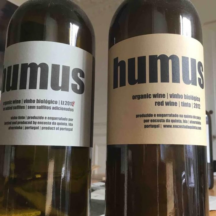 Humus Balbúrdia - Quinta do Paço (Humus) - Rodrigo Filipe 