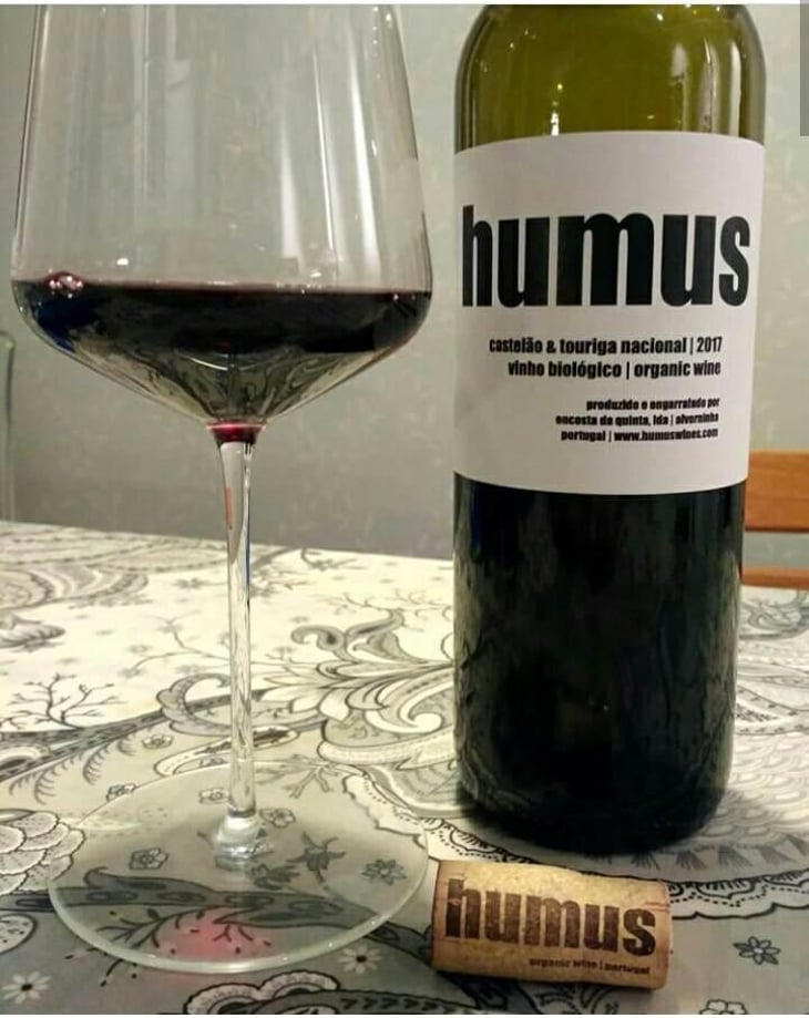 Humus Balbúrdia - Quinta do Paço (Humus) - Rodrigo Filipe 