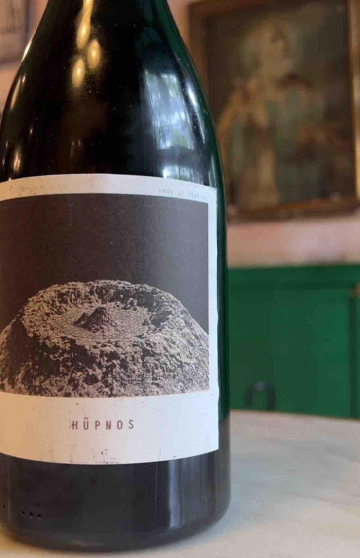 Hüpnos - Sous Le Vegetal - Patrick Bouju & Jason Ligas 