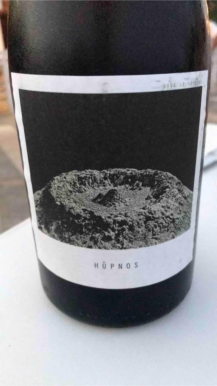 Hüpnos - Sous Le Vegetal - Patrick Bouju & Jason Ligas 
