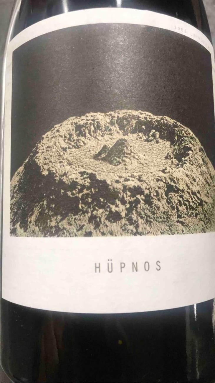 Hüpnos - Sous Le Vegetal - Patrick Bouju & Jason Ligas 