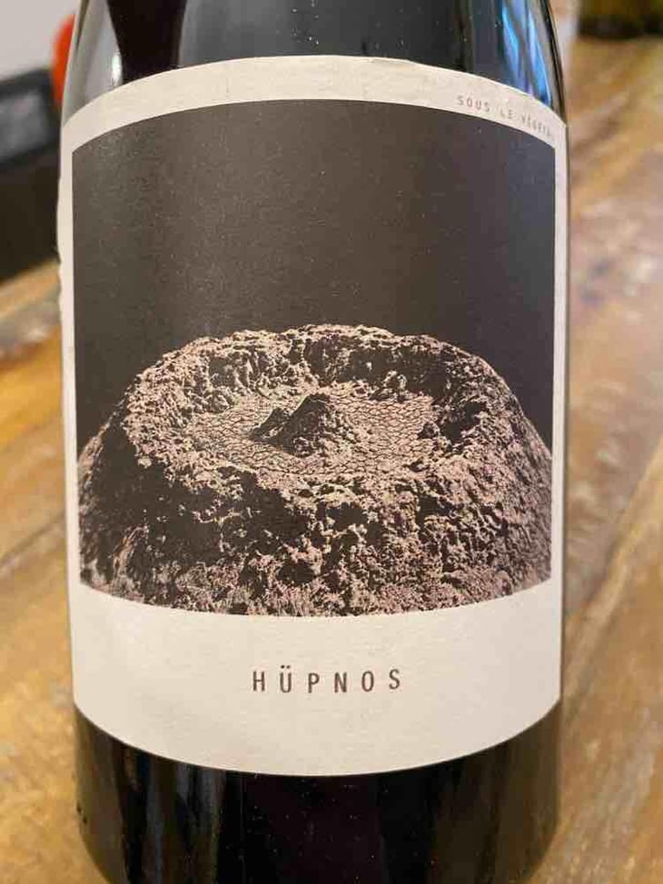Hüpnos - Sous Le Vegetal - Patrick Bouju & Jason Ligas 