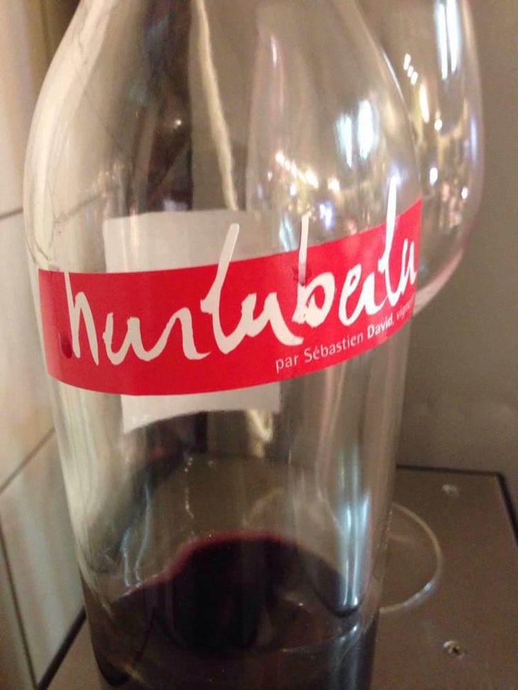 Hurluberlu - Domaine Sébastien David - Sébastien David 