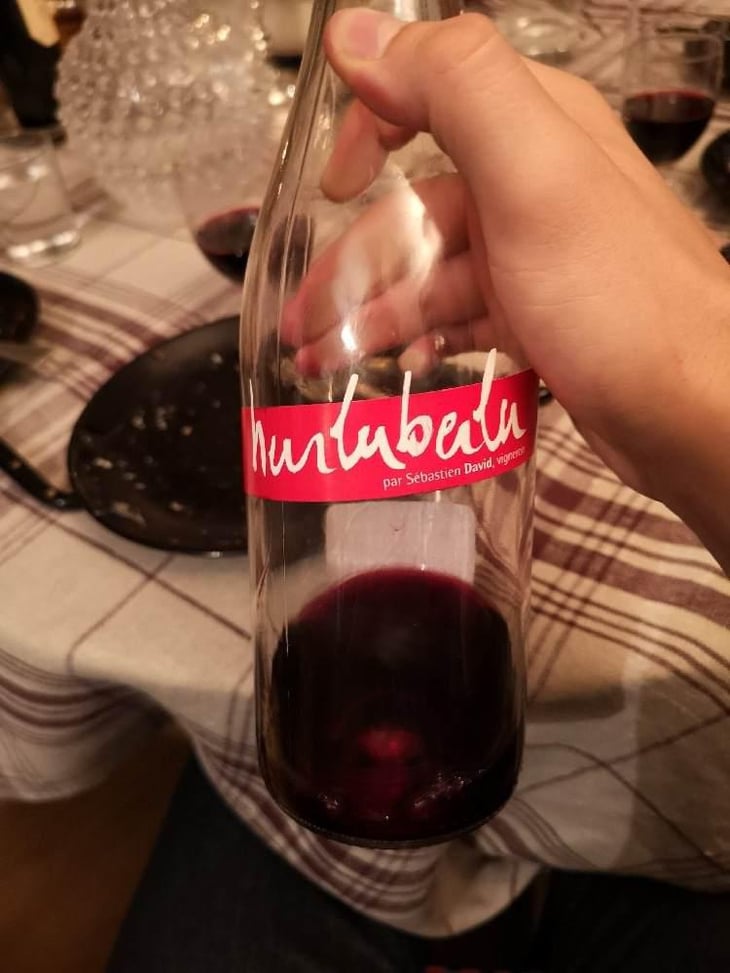Hurluberlu - Domaine Sébastien David - Sébastien David 