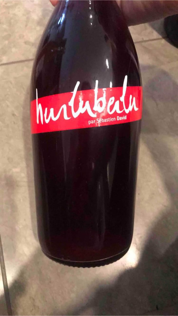 Hurluberlu - Domaine Sébastien David - Sébastien David 