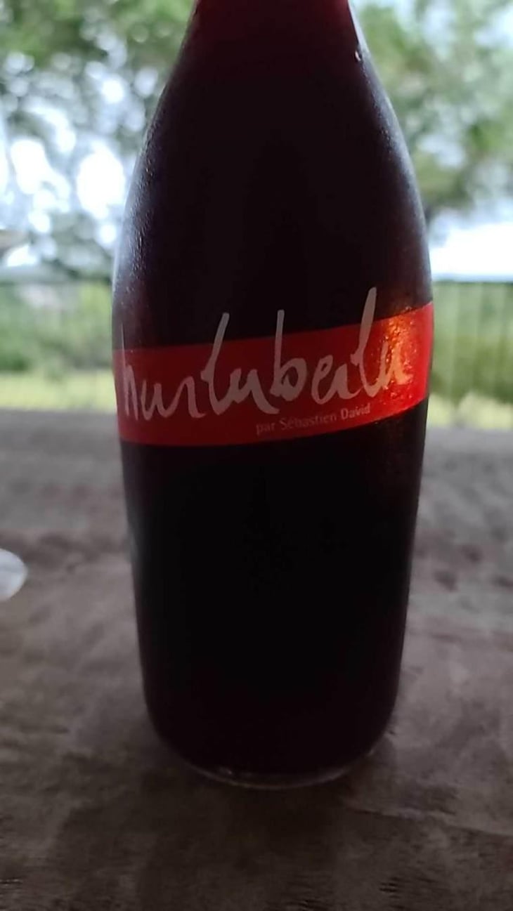 Hurluberlu - Domaine Sébastien David - Sébastien David 