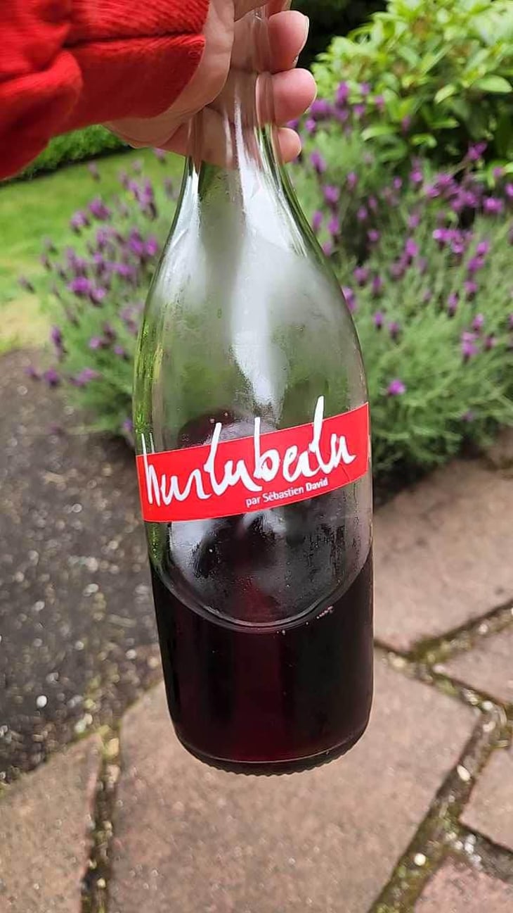 Hurluberlu - Domaine Sébastien David - Sébastien David 