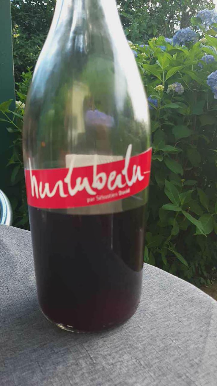 Hurluberlu - Domaine Sébastien David - Sébastien David 