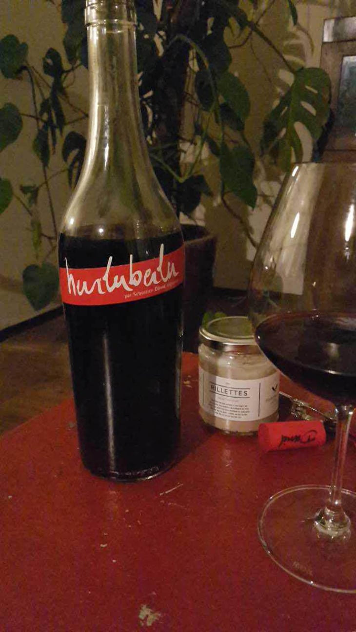 Hurluberlu - Domaine Sébastien David - Sébastien David 