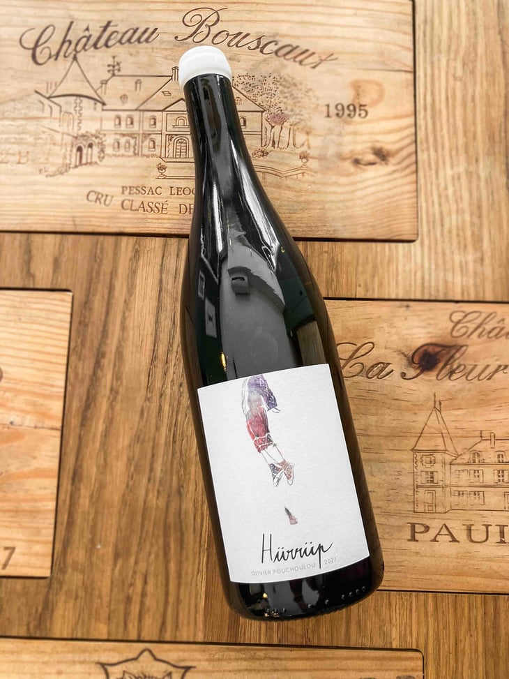 Hürrüp - Domaine Etxondoa - Olivier Pouchoulou 