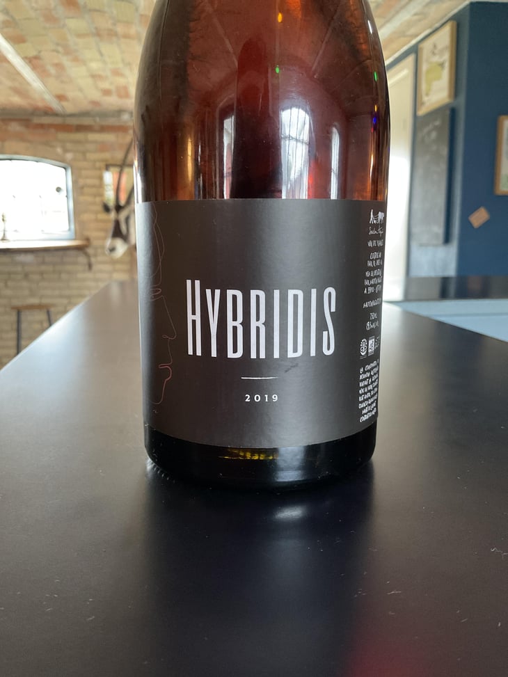 Hybridis - Sadon Huguet - Bénédicte et Mathieu Huguet -2019