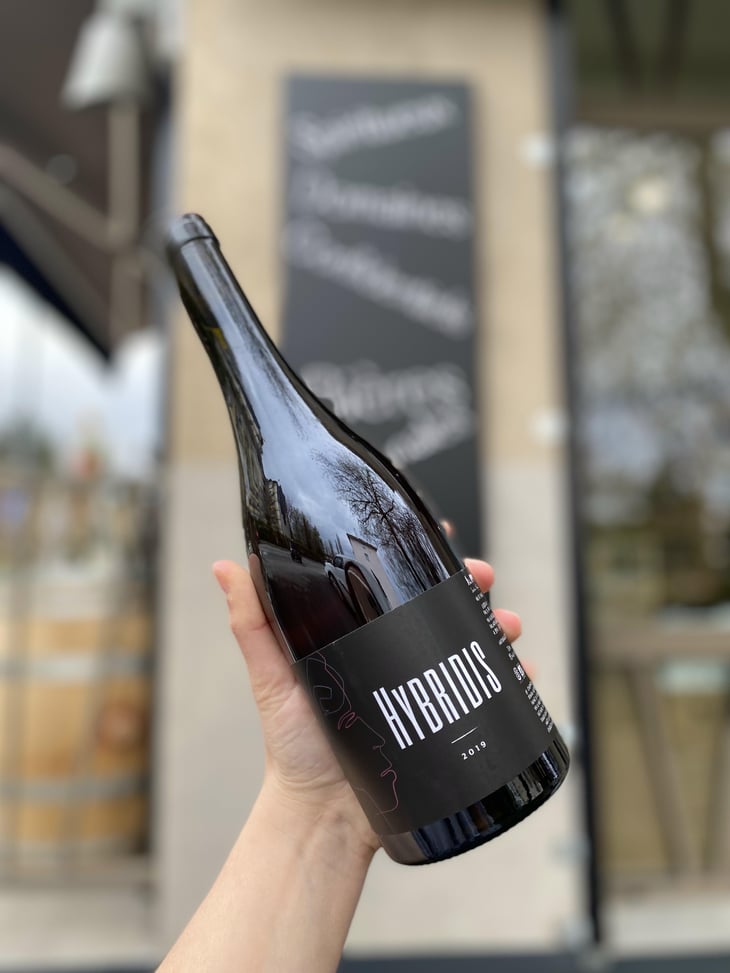 Hybridis - Sadon Huguet - Bénédicte et Mathieu Huguet -2019