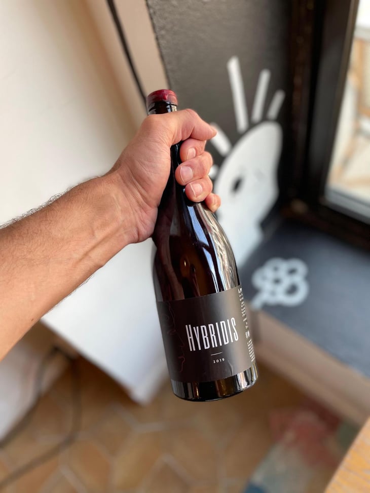 Hybridis - Sadon Huguet - Bénédicte et Mathieu Huguet -2019