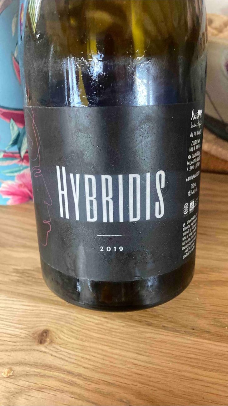 Hybridis - Sadon Huguet - Bénédicte et Mathieu Huguet -2019