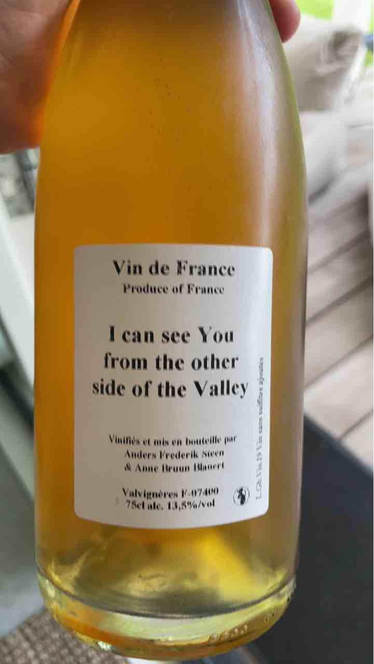 I can see You from the other side of the Valley - Anders Frederik Steen & Anne Bruun Blauert - Anders Frederik Steen & Anne Bruun Blauert 